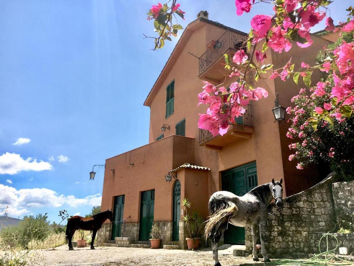 Country Sicily Home ファヴァーラ エクステリア 写真