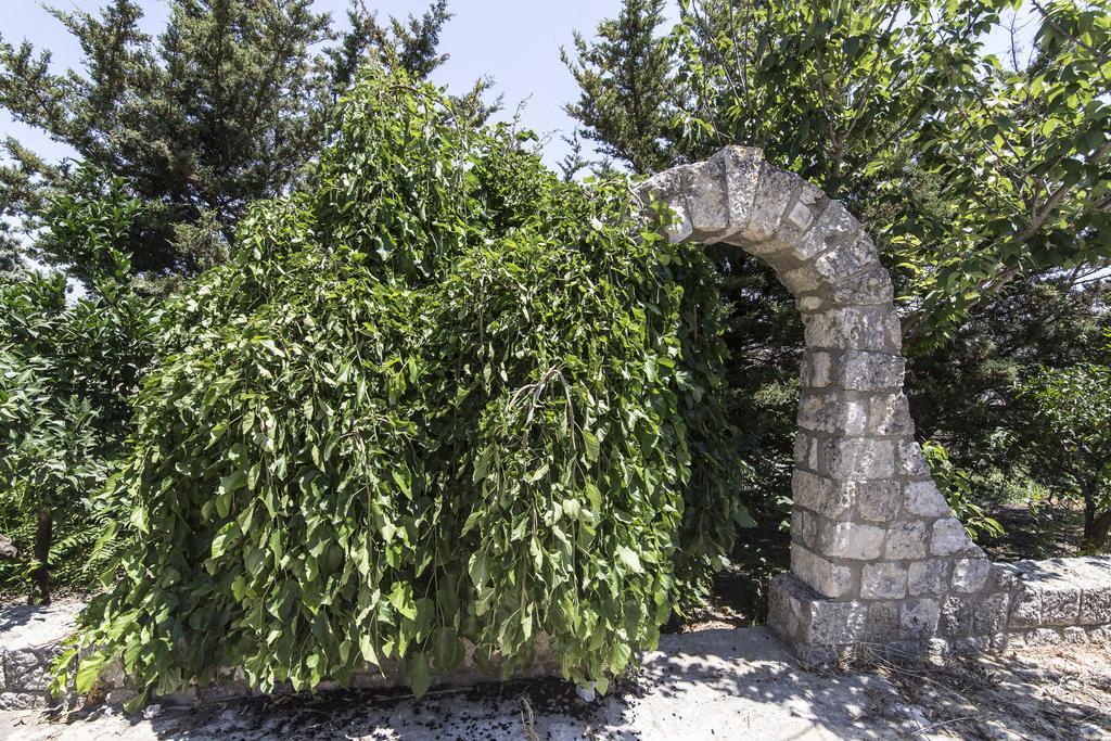 Country Sicily Home ファヴァーラ エクステリア 写真